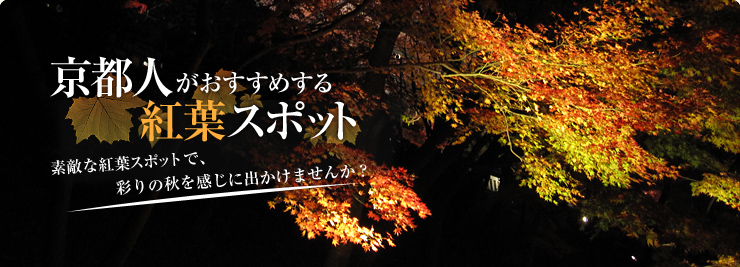 京都人がおすすめする紅葉スポット　素敵な紅葉スポットで、彩りの秋を感じに出かけませんか？