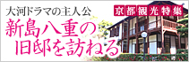 京都 観光 八重の桜