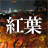京都 紅葉スポット