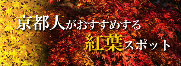 京都人がおすすめする紅葉スポット