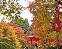 神護寺